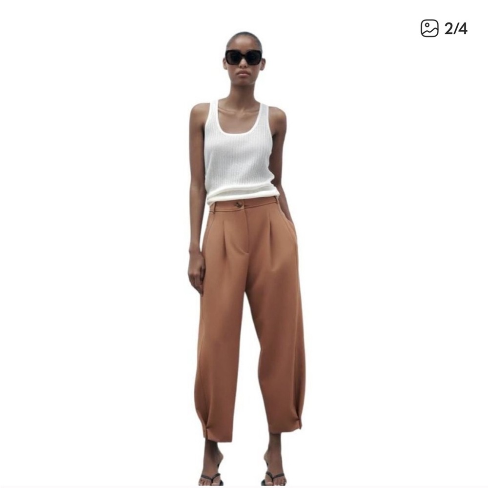 Zara Pleated Tapered Trouser Pant